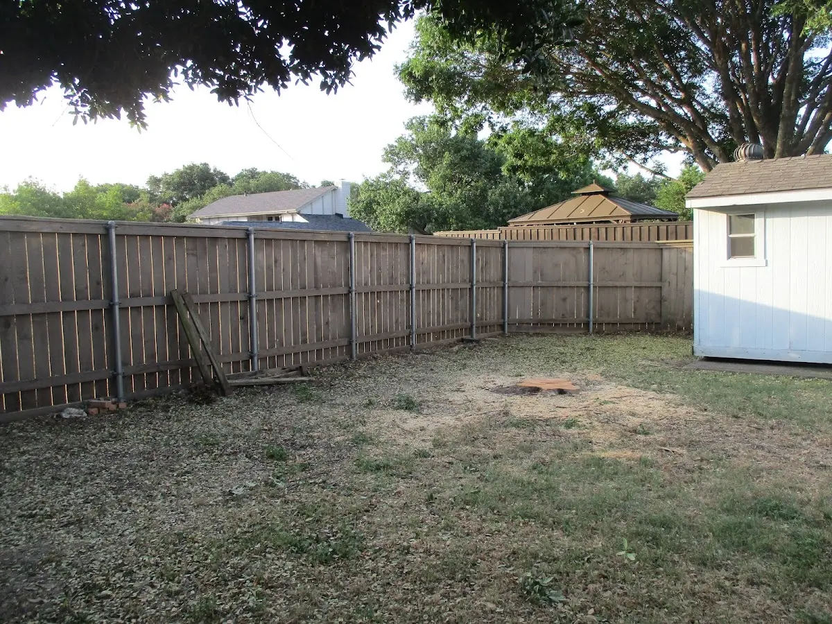 Cleared yard after professional tree removal in Okoboji