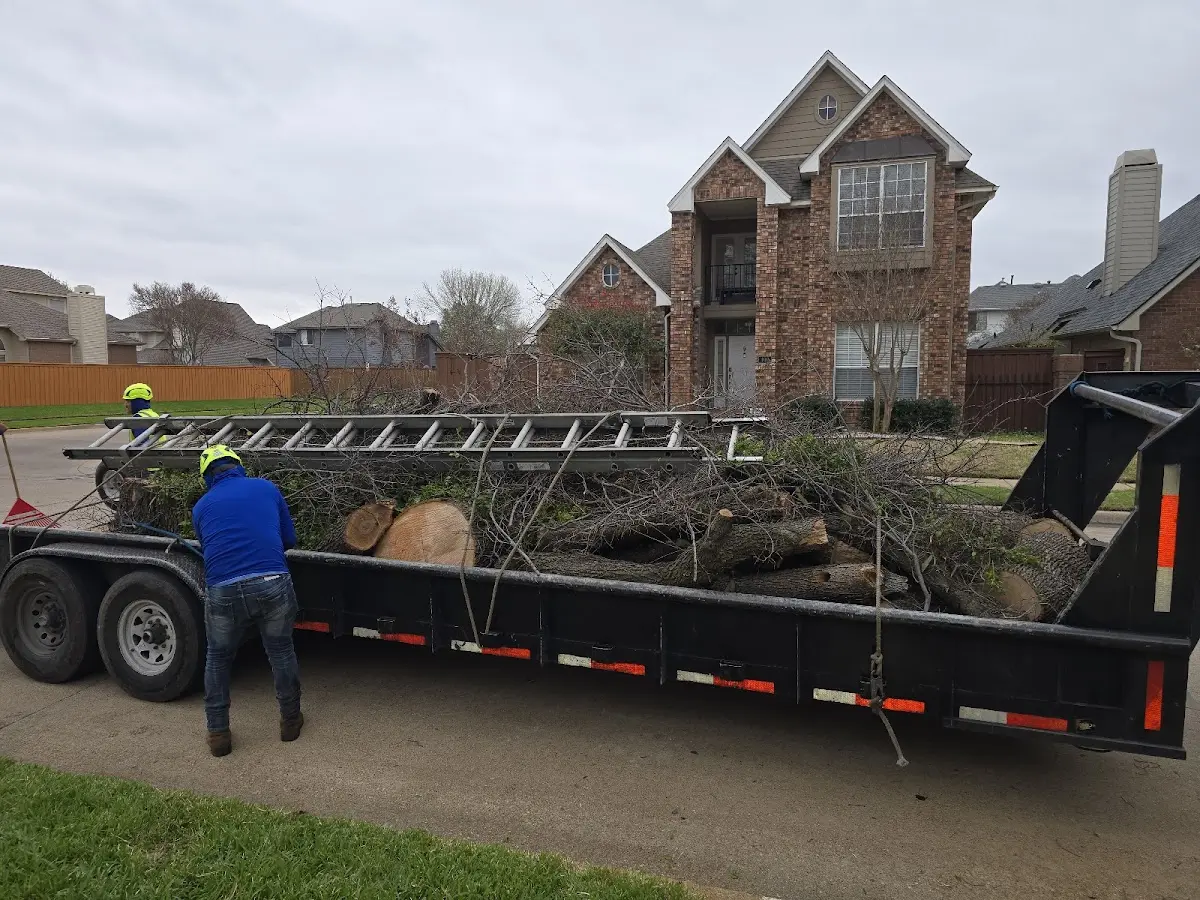 Expert Tree Fertilization with proper safety equipment in Okoboji